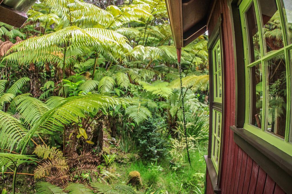 Ferny Hollow: Romantic Rainforest Cottage Volcano Esterno foto